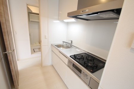 Ｄ－ｒｏｏｍ煌（キララ） キッチン