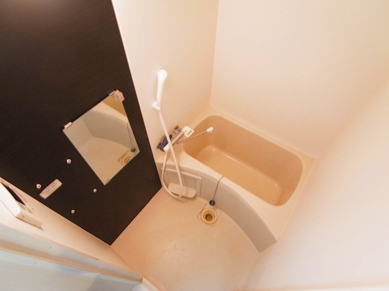 ラフェリシア上本郷 風呂画像