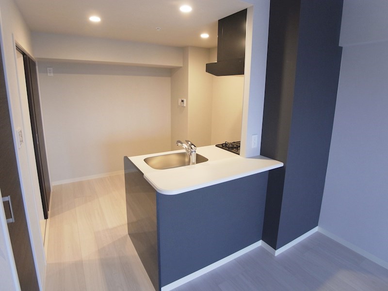 BrilliantViewCentralPark　～ブリリアントビューセントラルパーク～ その他15