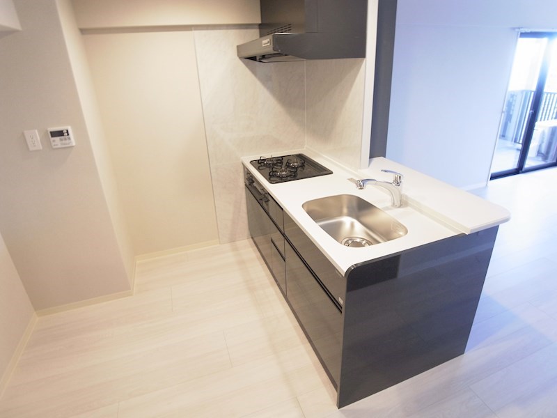 BrilliantViewCentralPark　～ブリリアントビューセントラルパーク～ その他16