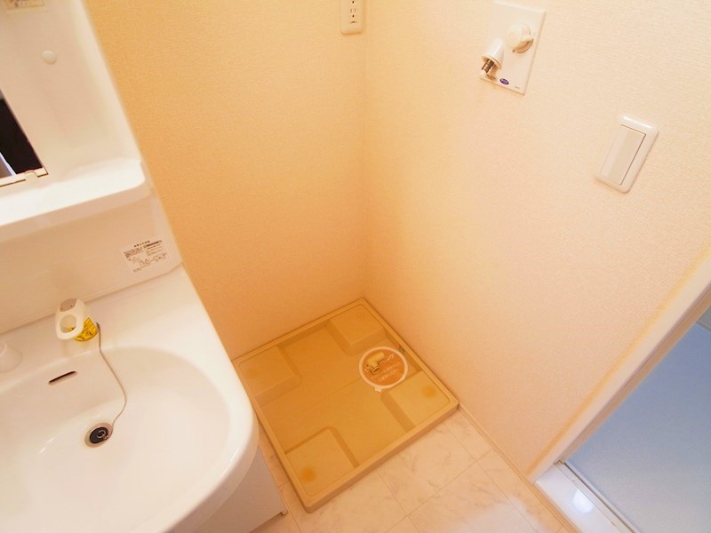 シャルマン・ドミール その他18