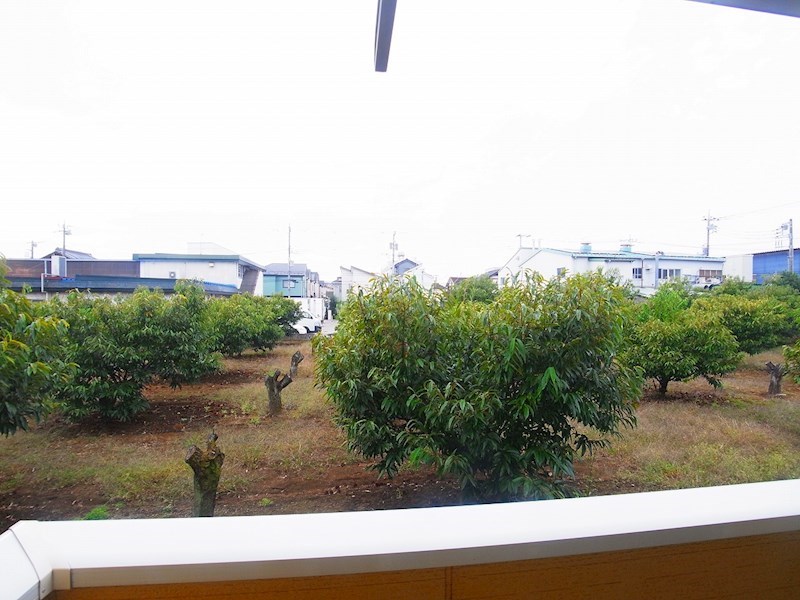 ボン　シャンス その他5