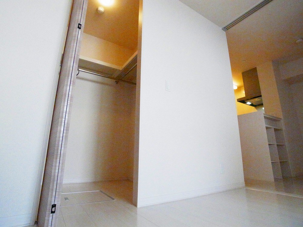 ラピュタ　ウイングス その他3