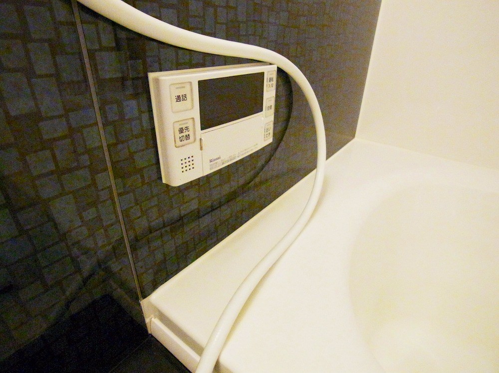 ラピュタ　ウイングス その他12