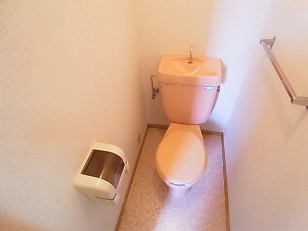 パルサイエンス その他1