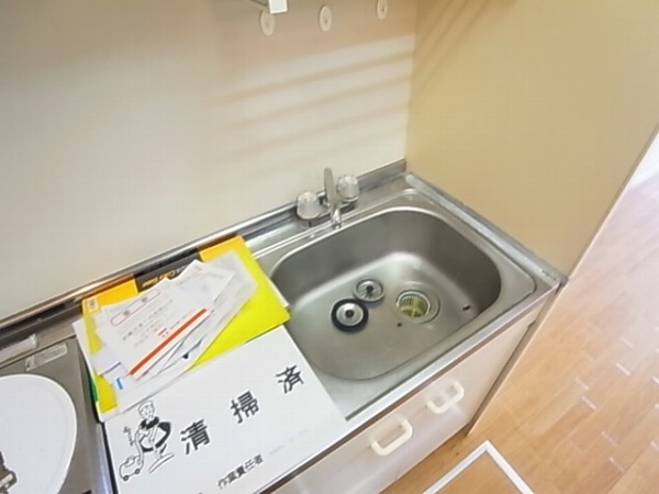 パルサイエンス その他6