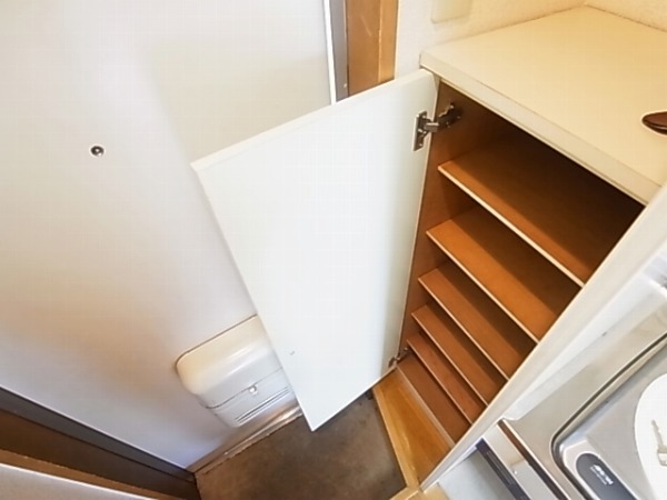 パルサイエンス その他9