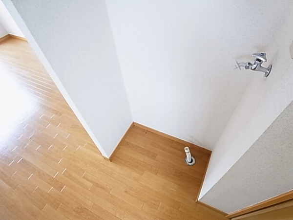 パルサイエンス その他12