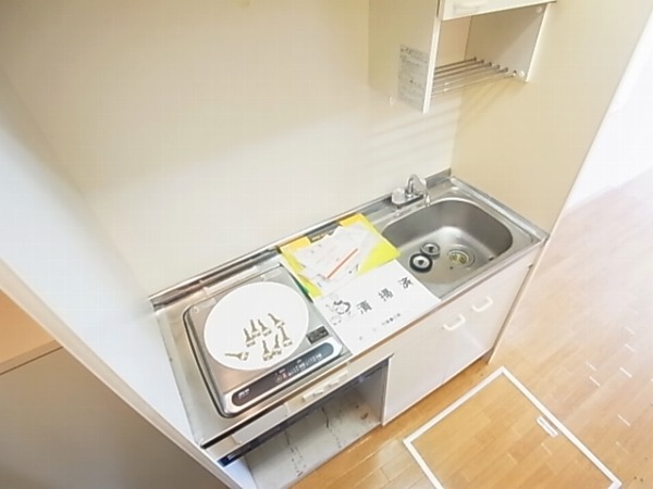 パルサイエンス その他13