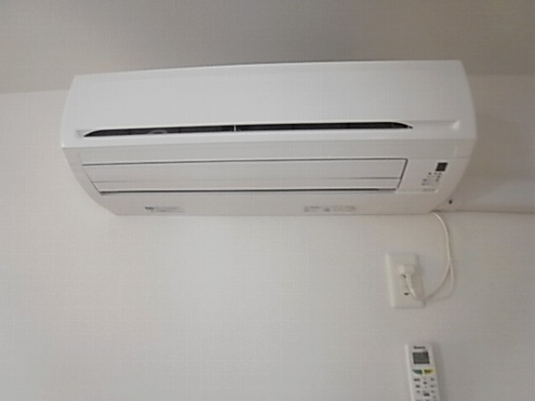 セノーテ その他6