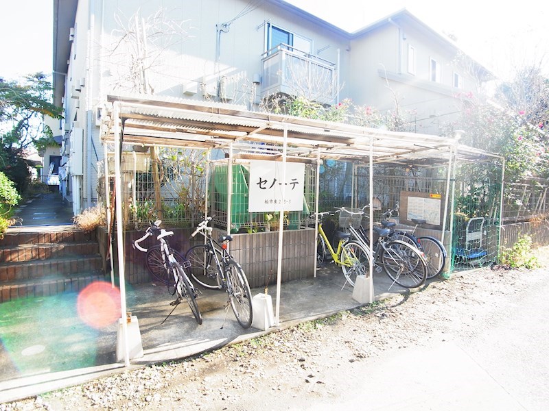 セノーテ その他外観3