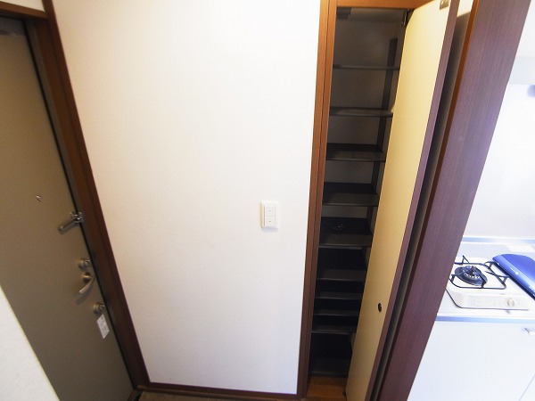 セノーテ その他10