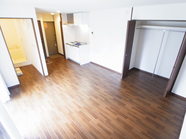 セノーテ リビング