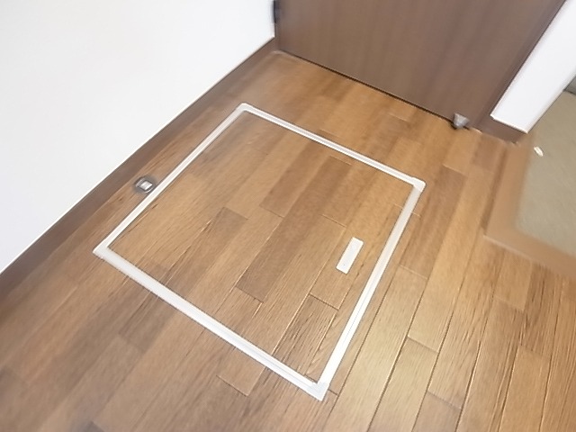 セノーテ その他12