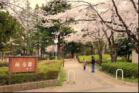 セノーテ 周辺画像10