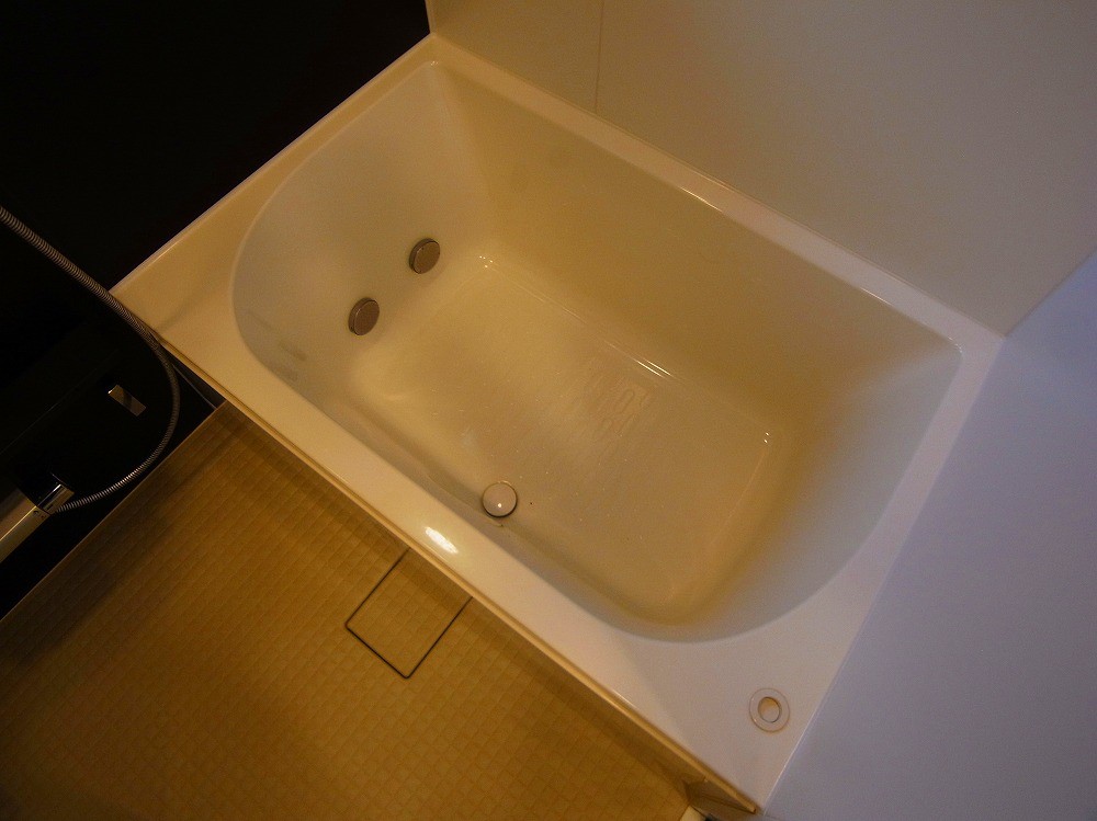 ミルーナヒルズエグラス梅島 その他9