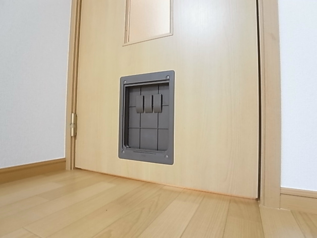 ルシェルブルー その他7