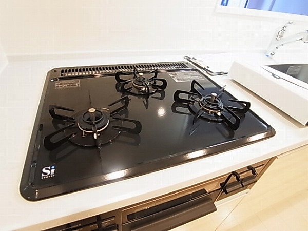 Vesta（ウェスタ） その他14