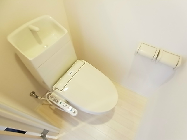 グランド　ライン その他1