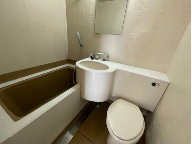 ドフィーヌ柏 その他2