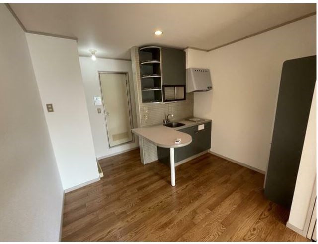 ドフィーヌ柏 その他9