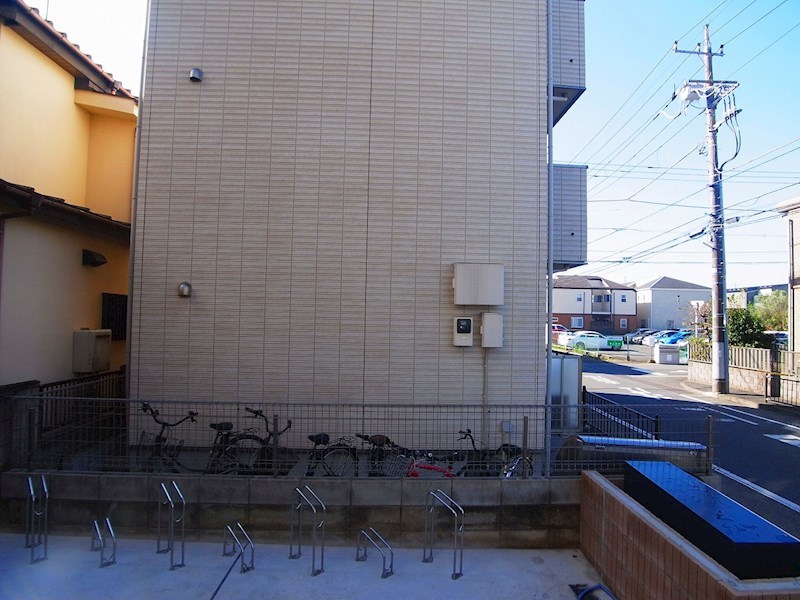パインリーブズ その他6