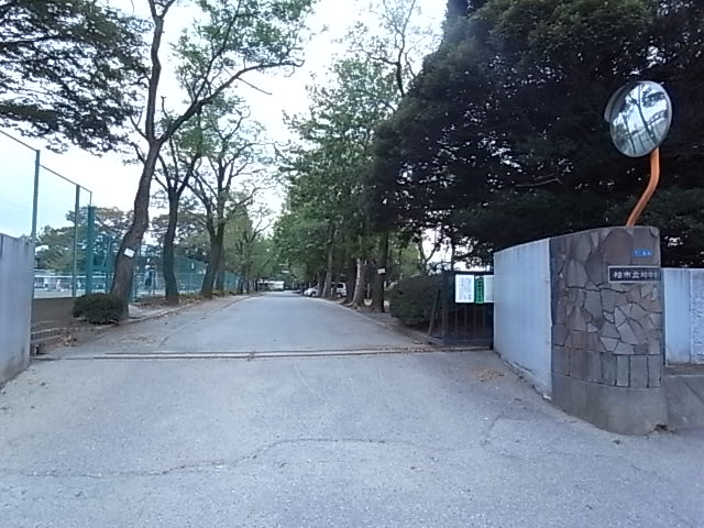 ファミールフラッツ若葉町 周辺画像4