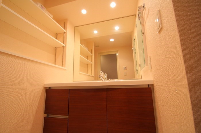 レーベンリヴァーレクロス東京 その他2