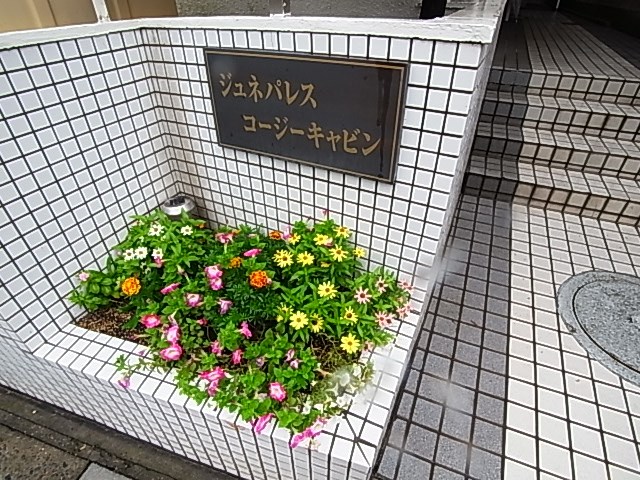 ジュネパレスコージーキャビン その他外観2