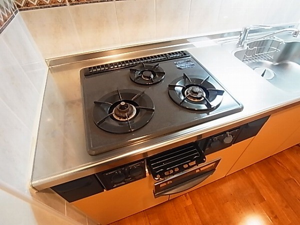 サンタバレー弐番館  その他13