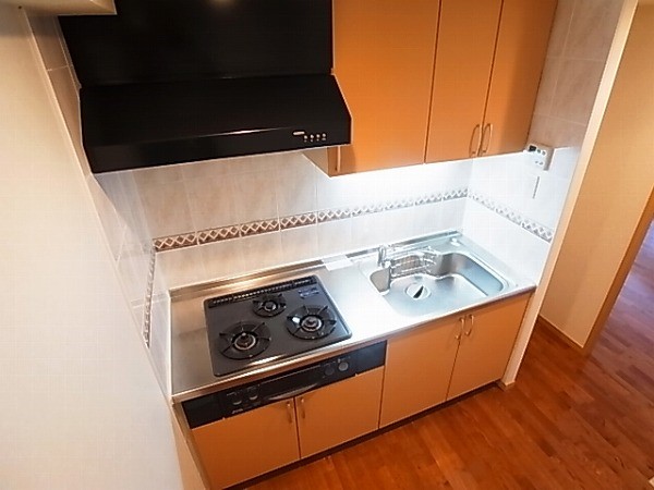 サンタバレー弐番館  キッチン