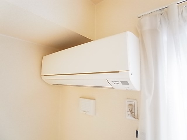 ｐａｒｋ　ｗｉｓｔｅｒｉａ その他4