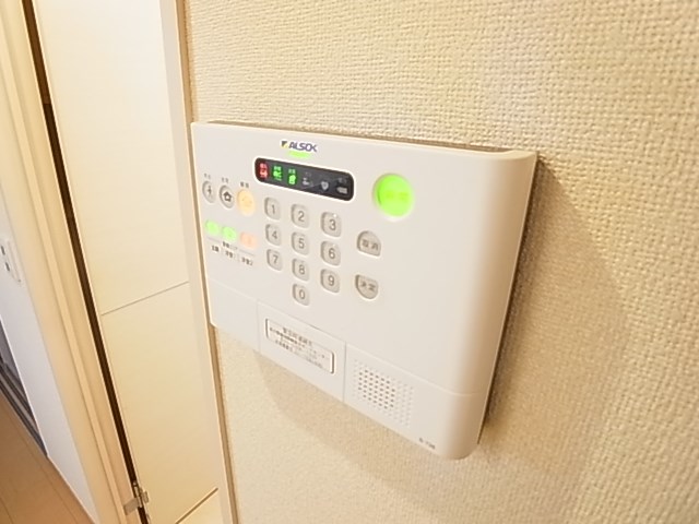 ｐａｒｋ　ｗｉｓｔｅｒｉａ その他11