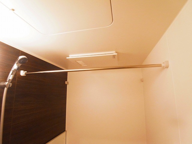 リサーナ その他11