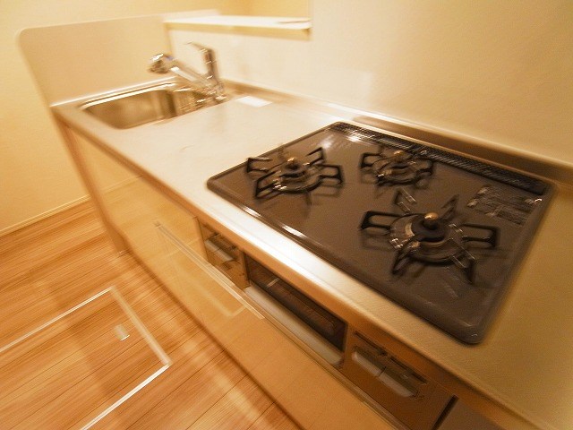 リサーナ その他13