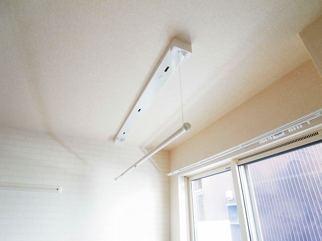 リサーナ その他15