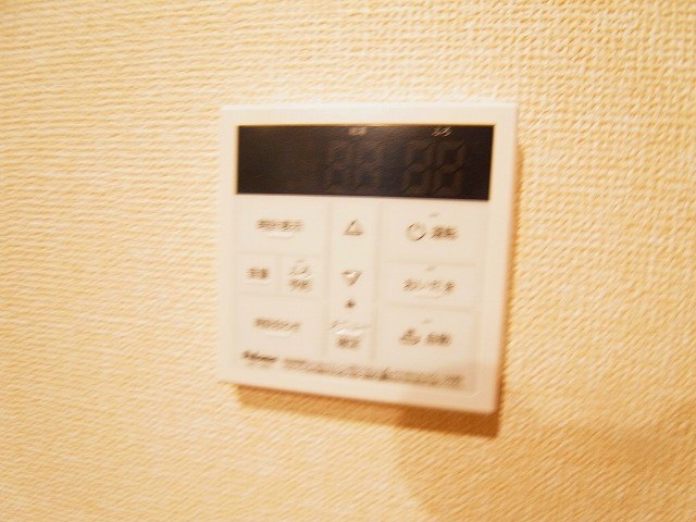 リサーナ その他