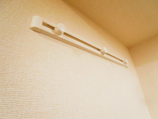 リサーナ その他