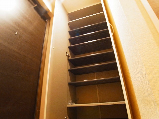リサーナ その他