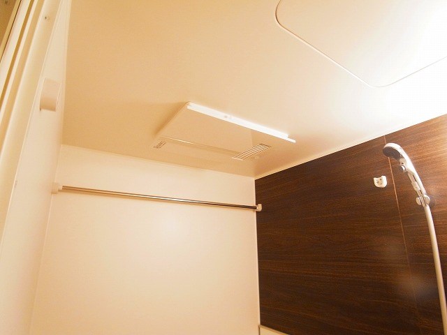 リサーナ その他