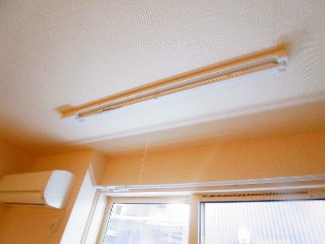 リサーナ その他