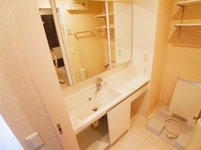 リサーナ その他2