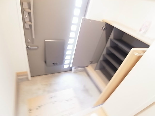 メゾンドール石和 玄関