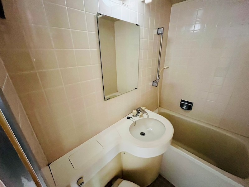 ライオンズマンション梅島第３ その他2