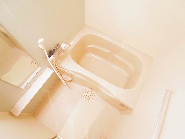 ロイヤルグレース道 風呂画像