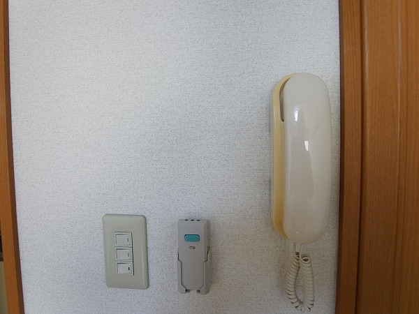 シャイングリーンB その他4