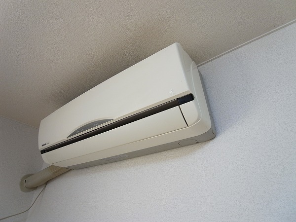 シャイングリーンB その他5