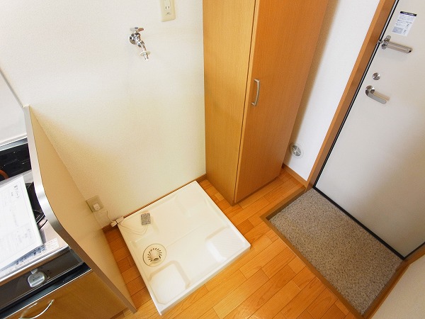 シャイングリーンB その他8