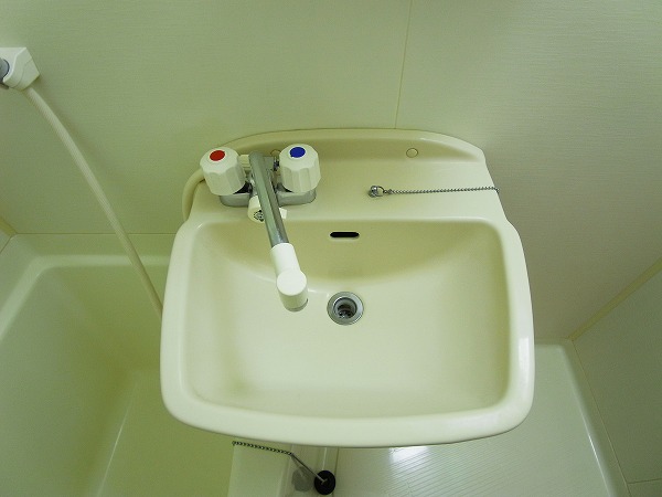 シャイングリーンB その他12