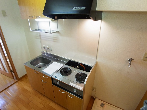 シャイングリーンB その他13